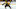 BOSTON, MA – MARCH 9: Torey Krug #47 of the Boston Bruins skates against the Ottawa Senators at the TD Garden on March 9, 2019 in Boston, Massachusetts. (Photo by Steve Babineau/NHLI via Getty Images) BOSTON, MA – MARCH 9: Torey Krug #47 of the Boston Bruins skates against the Ottawa Senators at the TD Garden on March 9, 2019 in Boston, Massachusetts. (Photo by Steve Babineau/NHLI via Getty Images)