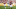 Arkansas Football Arkansas Football