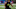 Chicago Bears, Dylan Parham