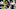 Chris Carson, Seattle Seahawks Chris Carson, Seattle Seahawks