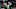 Milwaukee Bucks: MarJon Beauchamp, Chris Livingston Milwaukee Bucks: MarJon Beauchamp, Chris Livingston