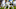 Takkarist McKinley 2017 NFL Draft Takkarist McKinley 2017 NFL Draft