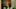 Carol Miller ready for a Green Bay Packers game – image by Brian Miller Carol Miller ready for a Green Bay Packers game – image by Brian Miller