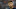 CHICAGO, IL – NOVEMBER 27: Jay Cutler CHICAGO, IL – NOVEMBER 27: Jay Cutler