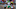 Jacob Breeland, Oregon Ducks Jacob Breeland, Oregon Ducks