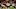 Jeremy Reper-USA TODAY Sports Jeremy Reper-USA TODAY Sports