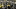IOWA CITY, IOWA- NOVEMBER 12: Kicker Keith Duncan IOWA CITY, IOWA- NOVEMBER 12: Kicker Keith Duncan