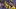 Borussia Dortmund midfielder Jude Bellingham Borussia Dortmund midfielder Jude Bellingham