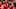 Toronto FC Toronto FC