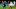Schalke CM Weston McKennie Schalke CM Weston McKennie