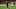 Havertz produced another unconvincing display. (Photo by Jean Catuffe/Getty Images) Havertz produced another unconvincing display. (Photo by Jean Catuffe/Getty Images)