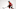 Chicago Blackhawks Connor Murphy Chicago Blackhawks Connor Murphy