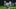 Fortinet Championship, Silverado, PGA Tour, Napa, Justin Thomas, 2023 Fortinet Championship, Max Homa Fortinet Championship, Silverado, PGA Tour, Napa, Justin Thomas, 2023 Fortinet Championship, Max Homa