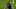 Everton Everton
