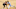 Memphis Grizzlies Memphis Grizzlies