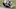 Chicago Bears Chicago Bears