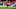 Arsenal Arsenal