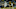 ANN ARBOR, MI – DECEMBER 6: Franz Wagner #21 of the Michigan Wolverines (Photo by Leon Halip/Getty Images) ANN ARBOR, MI – DECEMBER 6: Franz Wagner #21 of the Michigan Wolverines (Photo by Leon Halip/Getty Images)
