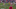 GIF via Zombie Prophet (@ZProphet_MMA) GIF via Zombie Prophet (@ZProphet_MMA)