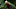 Abraham Ancer Fantasy Golf DraftKings Mayakoba Golf Classic Abraham Ancer Fantasy Golf DraftKings Mayakoba Golf Classic