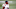 New England Patriots New England Patriots