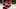 New Jersey Devils New Jersey Devils