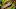 Survivor season 35 episode 12 clue Survivor season 35 episode 12 clue