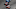 NASCAR DFS NASCAR DFS