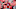 College football rumors Arch Manning Georgia Ohio State Texas College football rumors Arch Manning Georgia Ohio State Texas