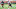 Cleveland Browns Cleveland Browns