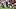 Seattle Seahawks
