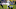 West Virginia football West Virginia football