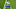 Jeff Okudah, Detroit Lions