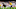 NEWCASTLE UPON TYNE, ENGLAND – APRIL 20: Pierre-Emile Hojbjerg of Southampton and Jamaal Lascelles of Newcastle United during the Premier League match between Newcastle United and Southampton FC at St. James Park on April 20, 2019 in Newcastle upon Tyne, United Kingdom. (Photo by Stu Forster/Getty Images) NEWCASTLE UPON TYNE, ENGLAND – APRIL 20: Pierre-Emile Hojbjerg of Southampton and Jamaal Lascelles of Newcastle United during the Premier League match between Newcastle United and Southampton FC at St. James Park on April 20, 2019 in Newcastle upon Tyne, United Kingdom. (Photo by Stu Forster/Getty Images)