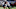 Houston Texans target Steven Terrell Houston Texans target Steven Terrell