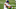 Chicago Bears, Buster Skrine