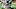 Quinnen Williams, New York Jets Quinnen Williams, New York Jets
