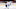 toronto maple leafs