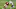 Buffalo Bills Buffalo Bills