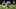 Green Bay Packers