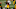 Iowa sophomore running back Tyler Goodson is wrapped up by Michigan State’s Jalen Hunt at Kinnick Stadium in Iowa City on Saturday, Nov. 7, 2020.20201107 Hawkeyesvsmsu Iowa sophomore running back Tyler Goodson is wrapped up by Michigan State’s Jalen Hunt at Kinnick Stadium in Iowa City on Saturday, Nov. 7, 2020.20201107 Hawkeyesvsmsu
