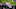 Jack Harvey, IndyCar, Indy 500
