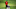 PEBBLE BEACH, CALIFORNIA – JUNE 15: Tommy Fleetwood of England and caddie, Ian Finnis, lines up a putt on the 15th green during the third round of the 2019 U.S. Open at Pebble Beach Golf Links on June 15, 2019 in Pebble Beach, California. (Photo by Andrew Redington/Getty Images) PEBBLE BEACH, CALIFORNIA – JUNE 15: Tommy Fleetwood of England and caddie, Ian Finnis, lines up a putt on the 15th green during the third round of the 2019 U.S. Open at Pebble Beach Golf Links on June 15, 2019 in Pebble Beach, California. (Photo by Andrew Redington/Getty Images)