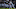 Oakland Raiders