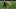Green Bay Packers Green Bay Packers