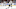 LA Kings Michael Amadio LA Kings Michael Amadio