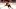 OTTAWA, ON – NOVEMBER 27: Filip Chlapik #78 of the Ottawa Senators skates in a game against the Boston Bruins at Canadian Tire Centre on November 27, 2019 in Ottawa, Ontario, Canada. (Photo by Jana Chytilova/Freestyle Photography/Getty Images) OTTAWA, ON – NOVEMBER 27: Filip Chlapik #78 of the Ottawa Senators skates in a game against the Boston Bruins at Canadian Tire Centre on November 27, 2019 in Ottawa, Ontario, Canada. (Photo by Jana Chytilova/Freestyle Photography/Getty Images)