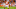 Chicago Bears, Mario Goodrich Chicago Bears, Mario Goodrich