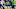 Seattle Seahawks, Chris Carson Seattle Seahawks, Chris Carson