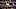 (Photo by Mark Brown/Getty Images) – Los Angeles Dodgers (Photo by Mark Brown/Getty Images) – Los Angeles Dodgers